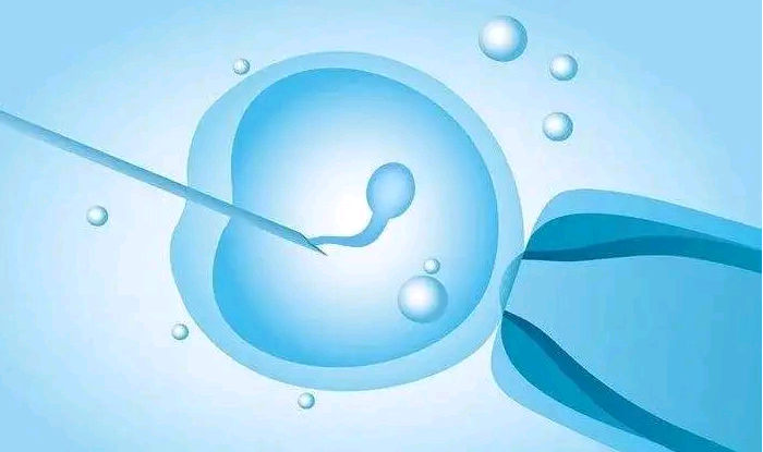 北京助孕价格大约多少钱一次 北京三代供卵生男孩医院 ‘酒精和尿怎么测男女