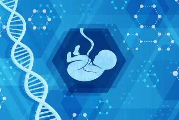供卵孩子有遗传母体,山东供卵试管婴儿医院排名,2023在山东申请供卵试管必备的