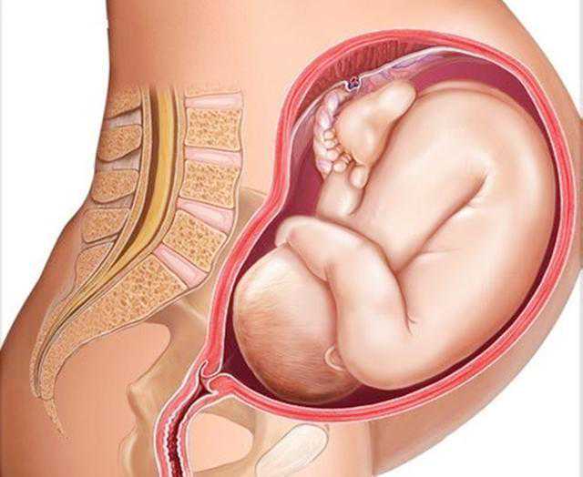 宫外孕hcg降到3怎么回事-私人试管医院