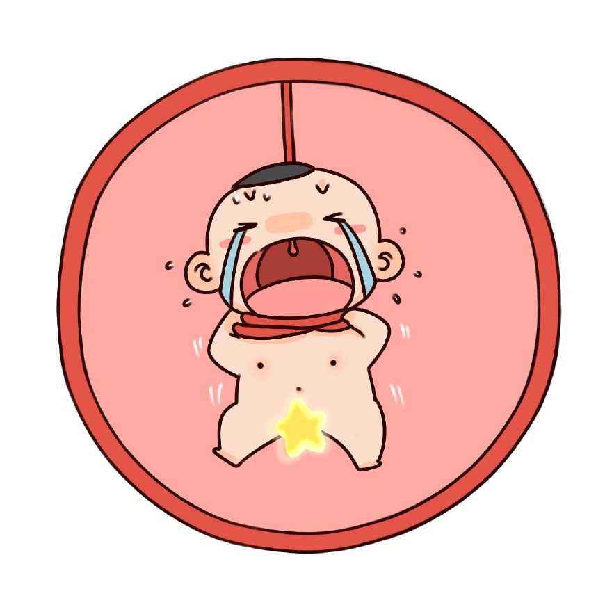 北京咨询试管代孕公司,北京助孕中介-北京辅助生殖中心