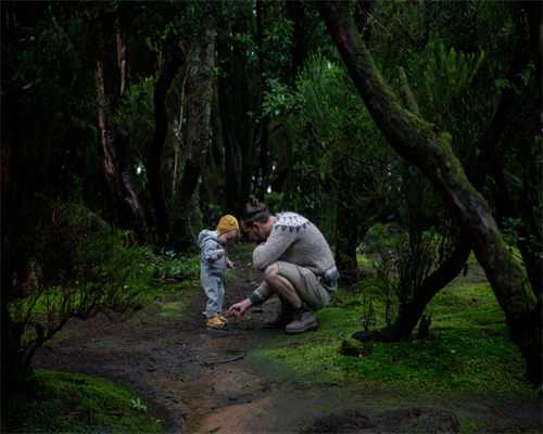 北京试管在线咨询,北京309医院试管成功率北京博爱医院试管婴儿成功率？