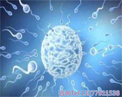北京代生收费多少,北京协和医院供卵试管多少钱？北京协和医院供卵试管多少