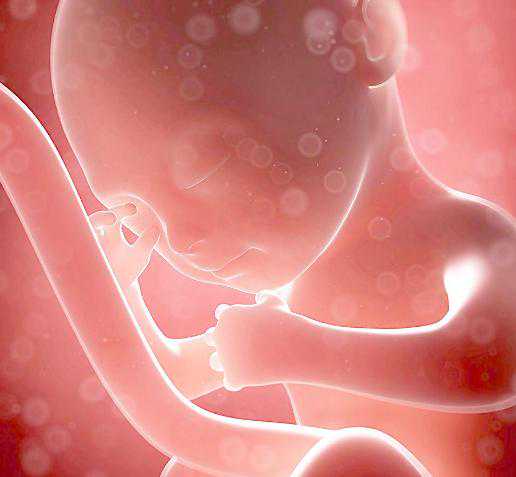 北京正规代生中介,国内试管婴儿去北京家圆,北京家园医院试管多少钱