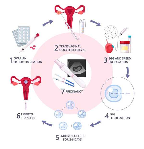 做试管婴儿供卵需要排队吗,四川供卵三代先性别需要满足这些条件：,四川金贝