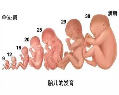 中国捐卵价格_有没有捐卵的正规地方_深圳被查捐卵代孕组图