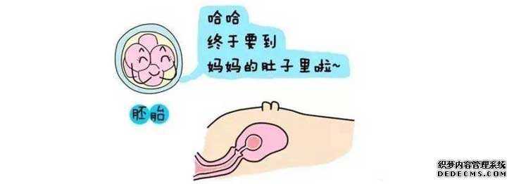 崂山区接受捐卵怀孕_崂山区捐卵15颗_做试管多放几个胚胎成功率高？北京哪个