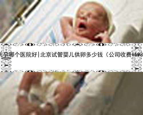 北京代孕哪个医院好|北京试管婴儿供卵多少钱（公司收费11937元）